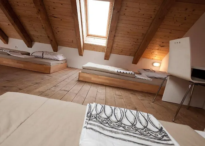 Hostel Situla Novo Mesto